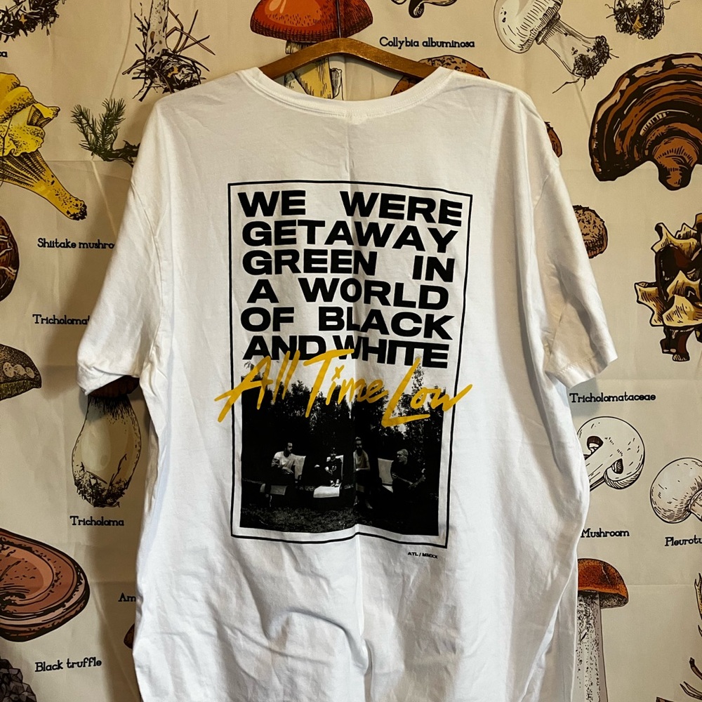 All time low shirt